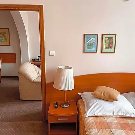 Bed and breakfast Restauracja Ruczaj 4*